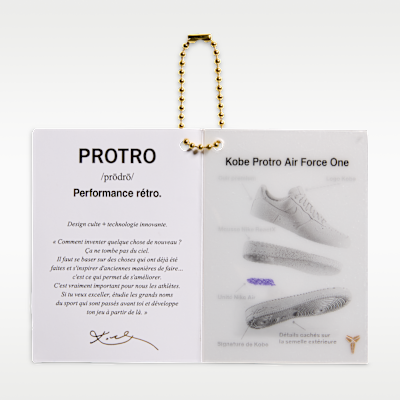 Nike Air Force 1 Low Protro Men's Shoes