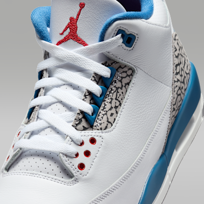 Air Jordan 3 Retro "True Blue" Men's Shoes