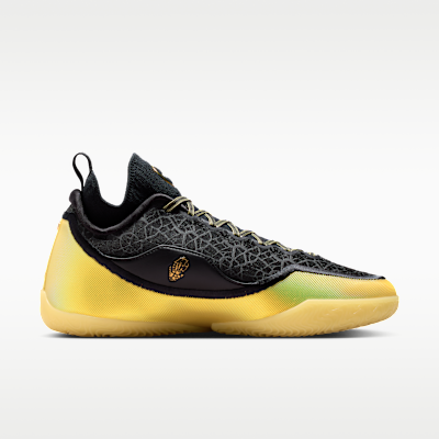 LeBron XXIII Elite "Hurt Feelings" Basketball Shoes