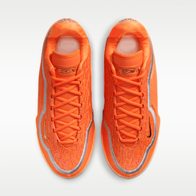 LeBron XXIII "Shoe Bag" Basketball Shoes
