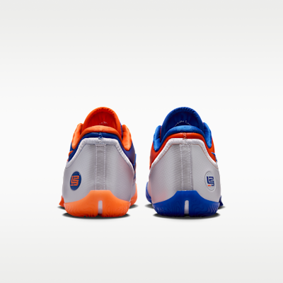 LeBron XXIII Basketball Shoes