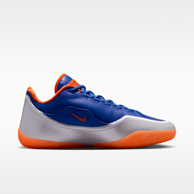 LeBron XXIII Basketball Shoes
