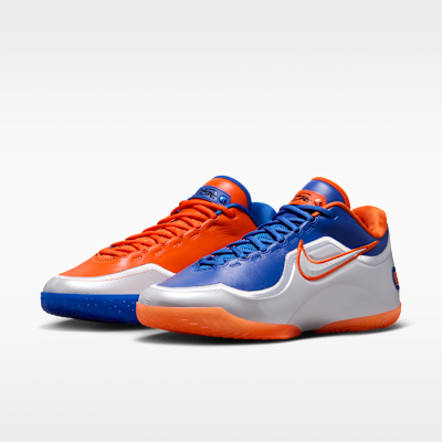 LeBron XXIII Basketball Shoes