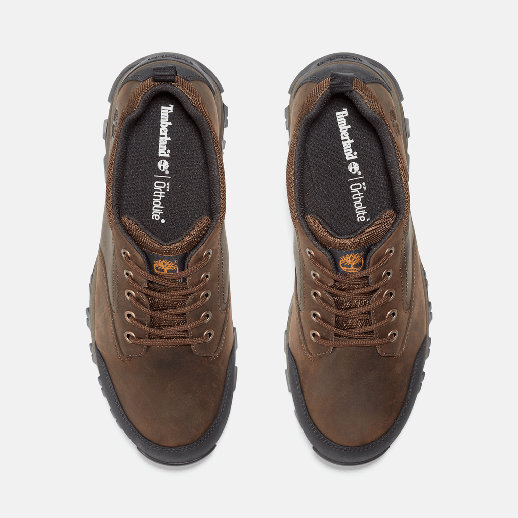 Mens Mt Maddsen Low Waterproof Hiking Boot TBL Brown ALT2
