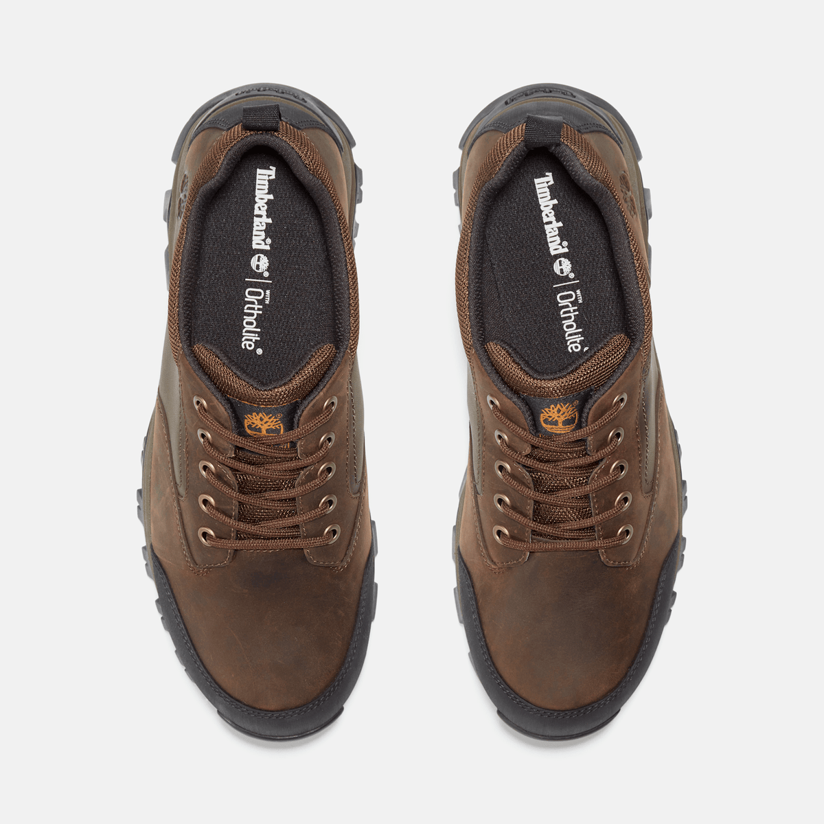 Mens Mt Maddsen Low Waterproof Hiking Boot TBL Brown ALT2