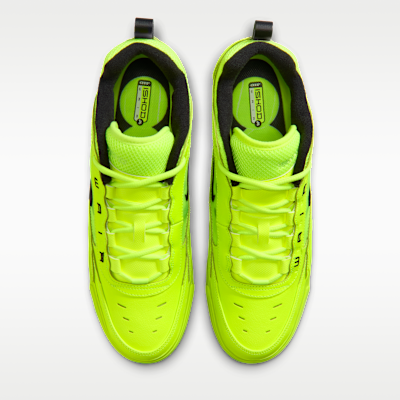 Nike Air Max Ishod Premium Skate Shoes