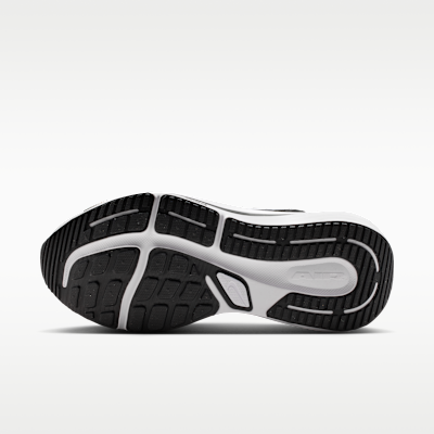 Nike Winflo 12 Men's Road Running Shoes