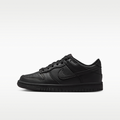 Nike Dunk Low Big Kids' Shoes