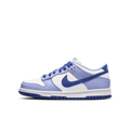 Nike Dunk Low Big Kids' Shoes
