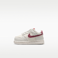 Nike Dunk Low Baby/Toddler Shoes