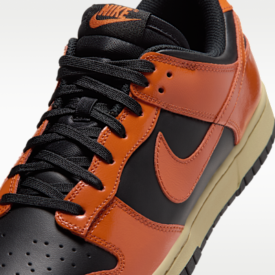 Nike Dunk Low Retro Men's Shoes