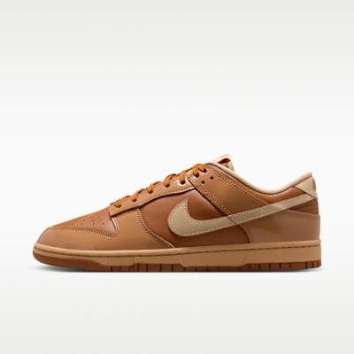 Nike Dunk Low Retro Men's Shoes