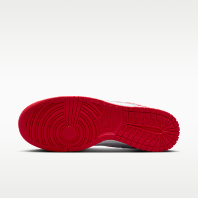 Nike Dunk Low Retro Men's Shoes