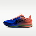 Nike Pegasus Premium Men's Road Running Shoes