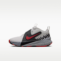 Nike Team Hustle D 12 SE "Werewolf" Big Kids' Basketball Shoes