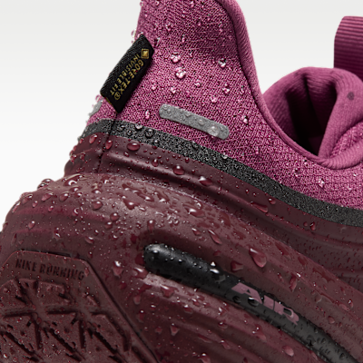 Nike Winflo 12 GORE-TEX Women's Waterproof Road Running Shoes