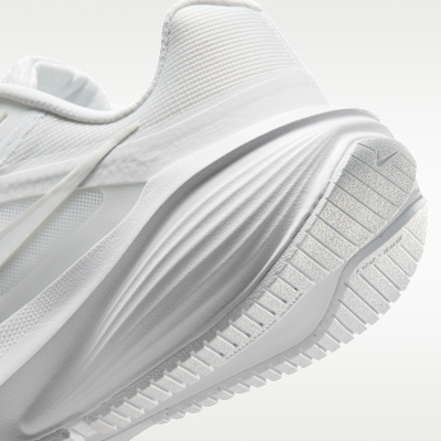 Nike Downshifter 14 Women's Road Running Shoe