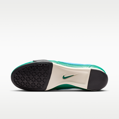 Nike Sprint Sister Women's Shoes